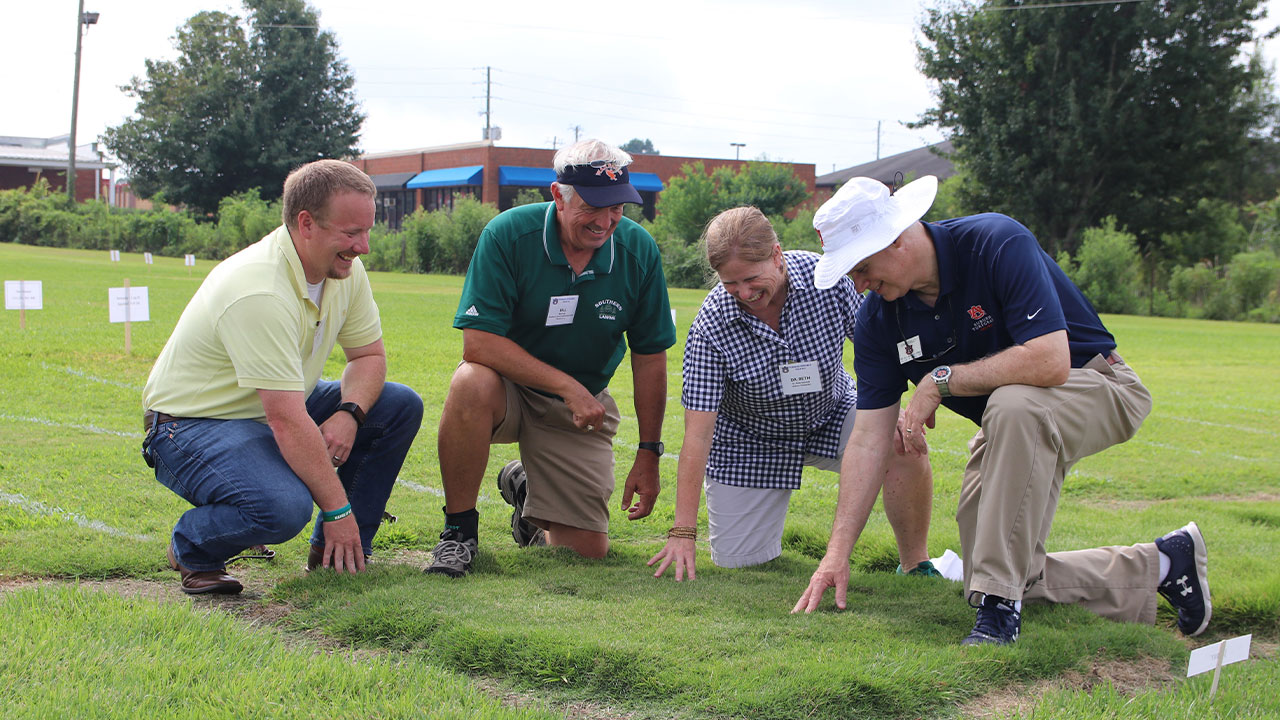 Experts examining turf grass