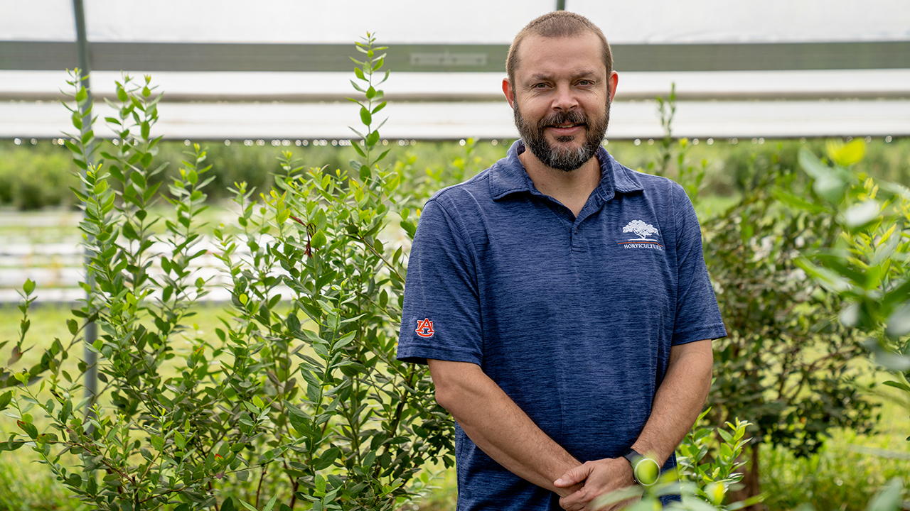 Man wears navy shirt in front of blueberry plants in greenhouse