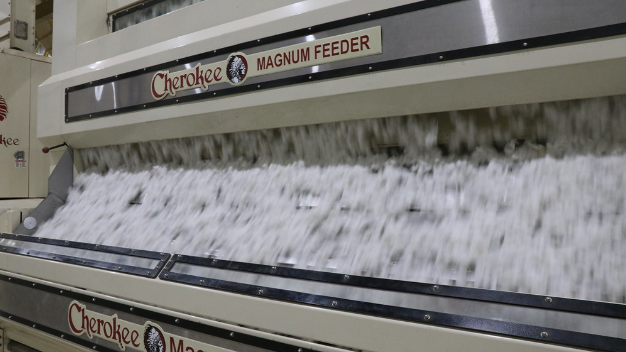 Cotton gin processing 