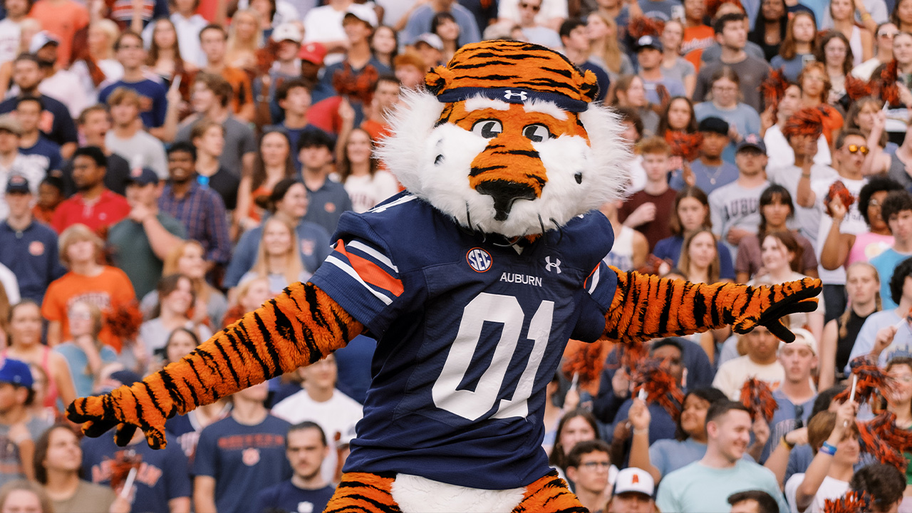 Aubie at Convocation