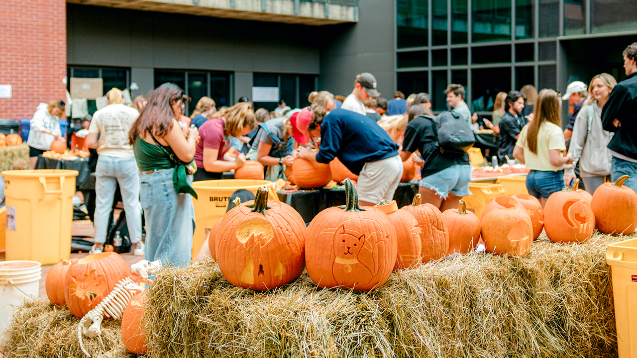 Carved pumpkins displayed in front of crowd of people attending a pumpkin carving event