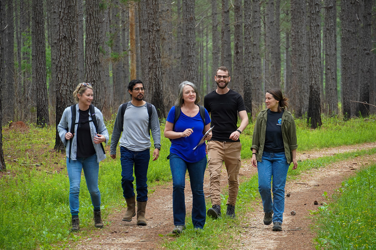 Heather Alexander and her students walk through a fire-maintained forest.