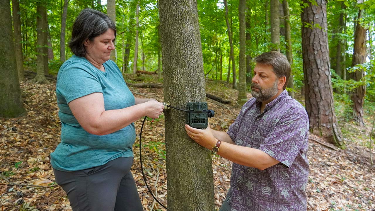 Jean Fantle-Lepczyk (left) and Chris Lepczyk (right) mount a game camera to a tree for wildlife research.