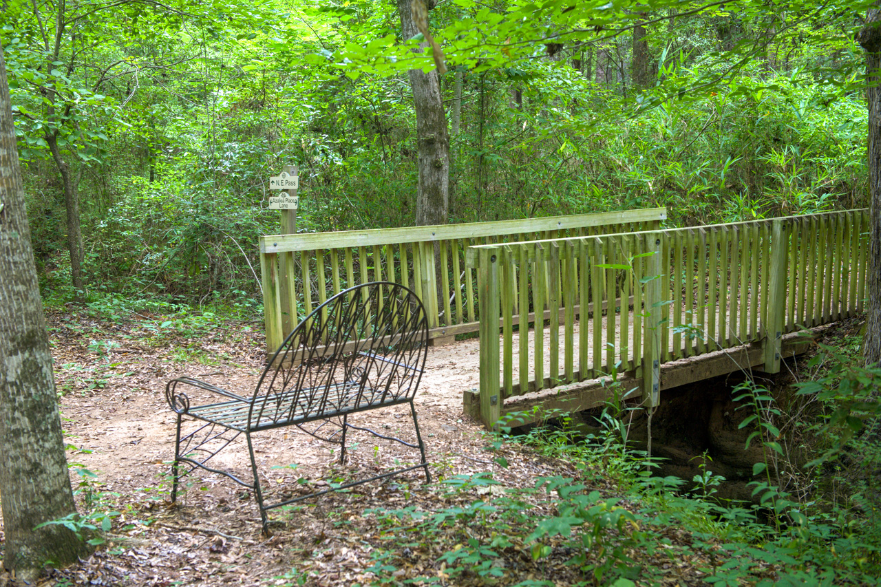 the azalea trail bridge sits next to a black metal bench under a green forest canopy