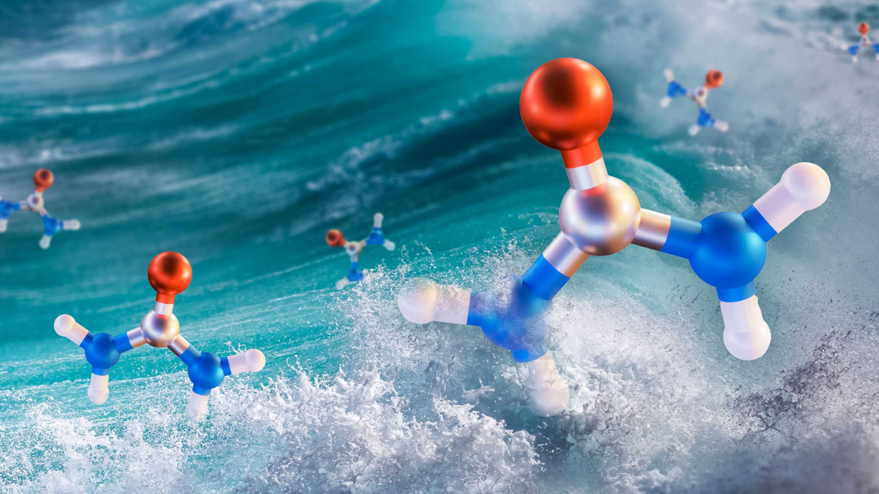 a 3D rendering of colorful urea molecules floating in blue and white salt water