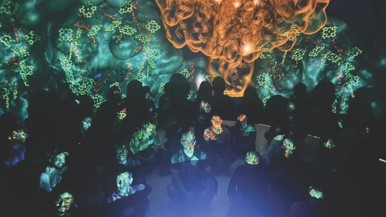 Participants take part in an immersive visualization experience where molecular structures are projected in vibrant detail, blending art and science.