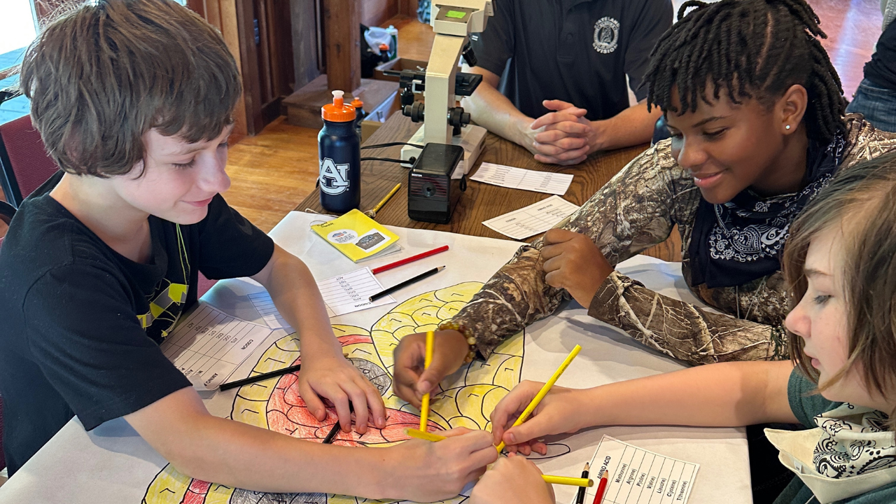 A group of children color a large paper diagram of a snake while sitting around a table with field guides and microscopes.