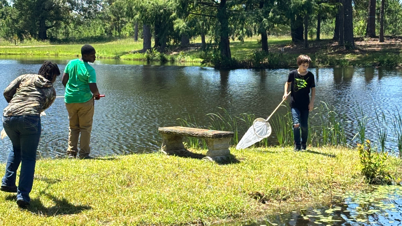 Three students stand at the edge of a pond, dipping nets into the water to look for aquatic creatures.
