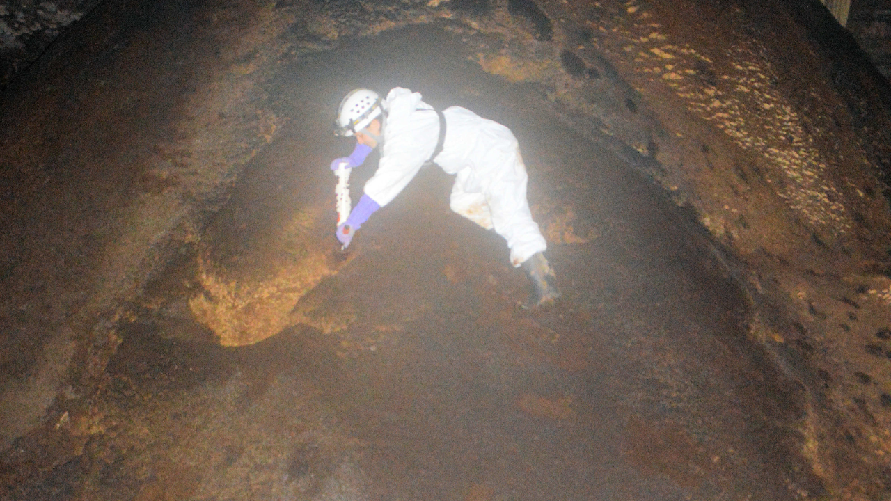 A researcher in protective gear collects a guano sample from a mound inside a dark cave.