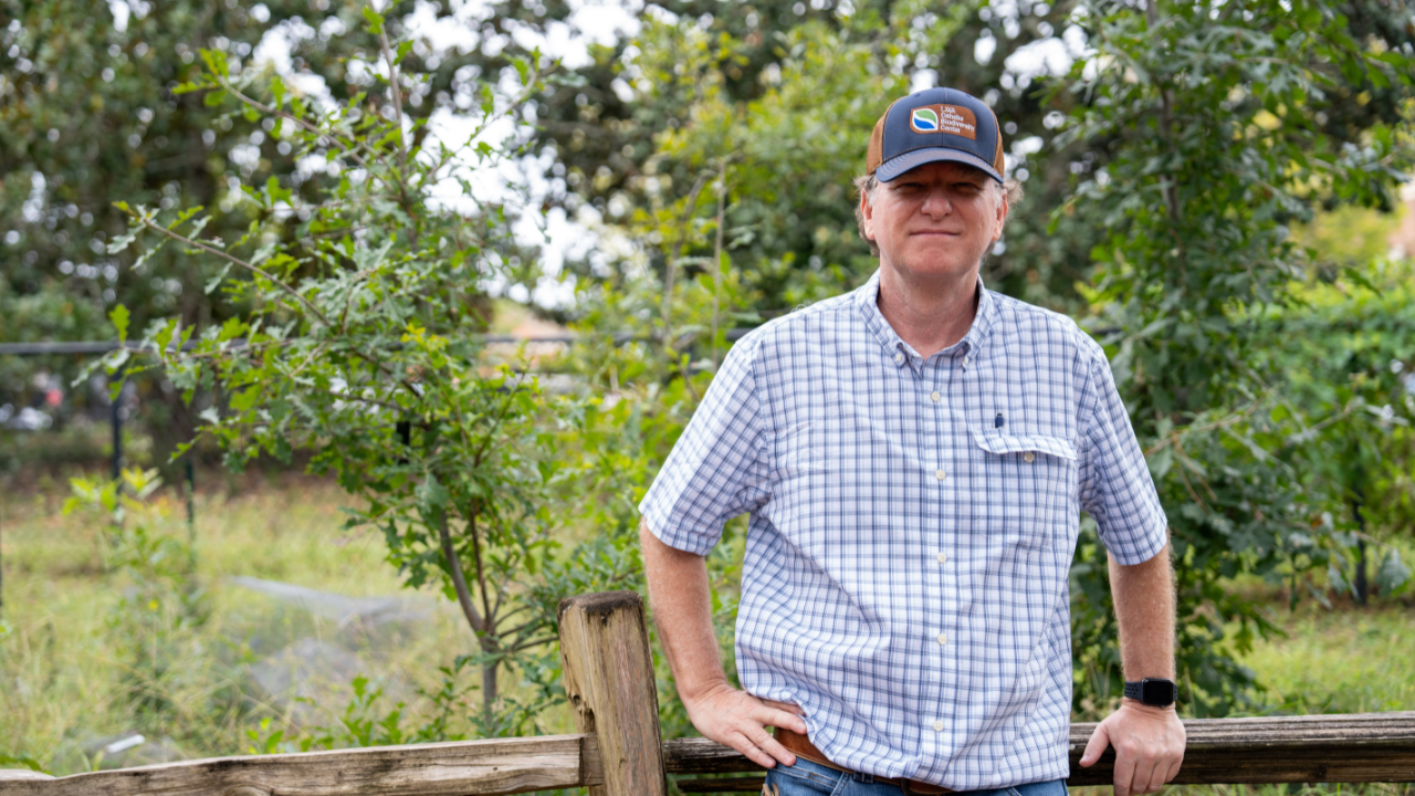 Les Goertzen, wearing a plaid shirt and cap, stands by a wooden fence with young oak saplings and greenery behind him.