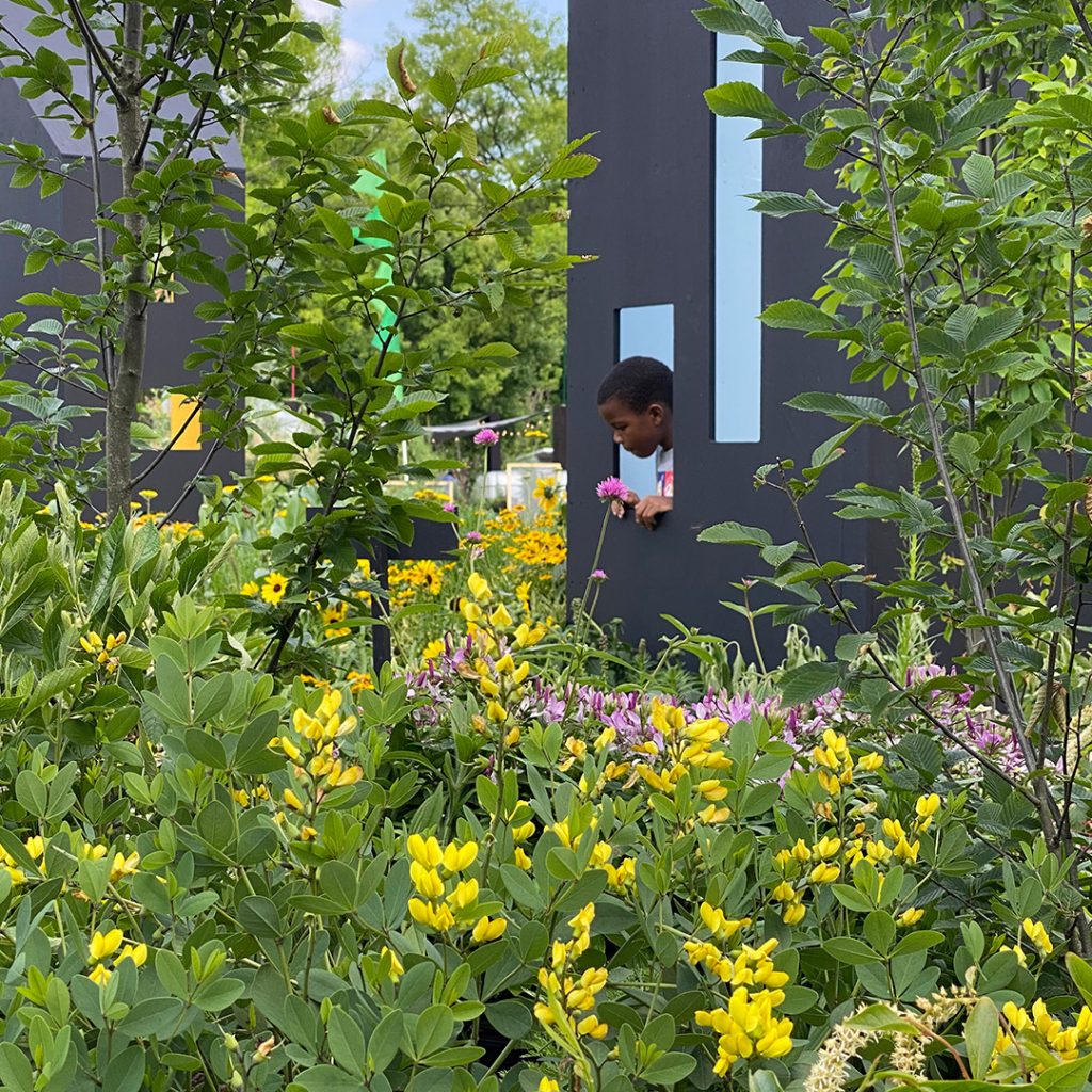 A young boy looking at flowers