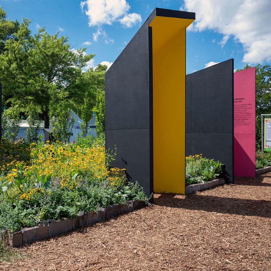 Several flowers next to structures