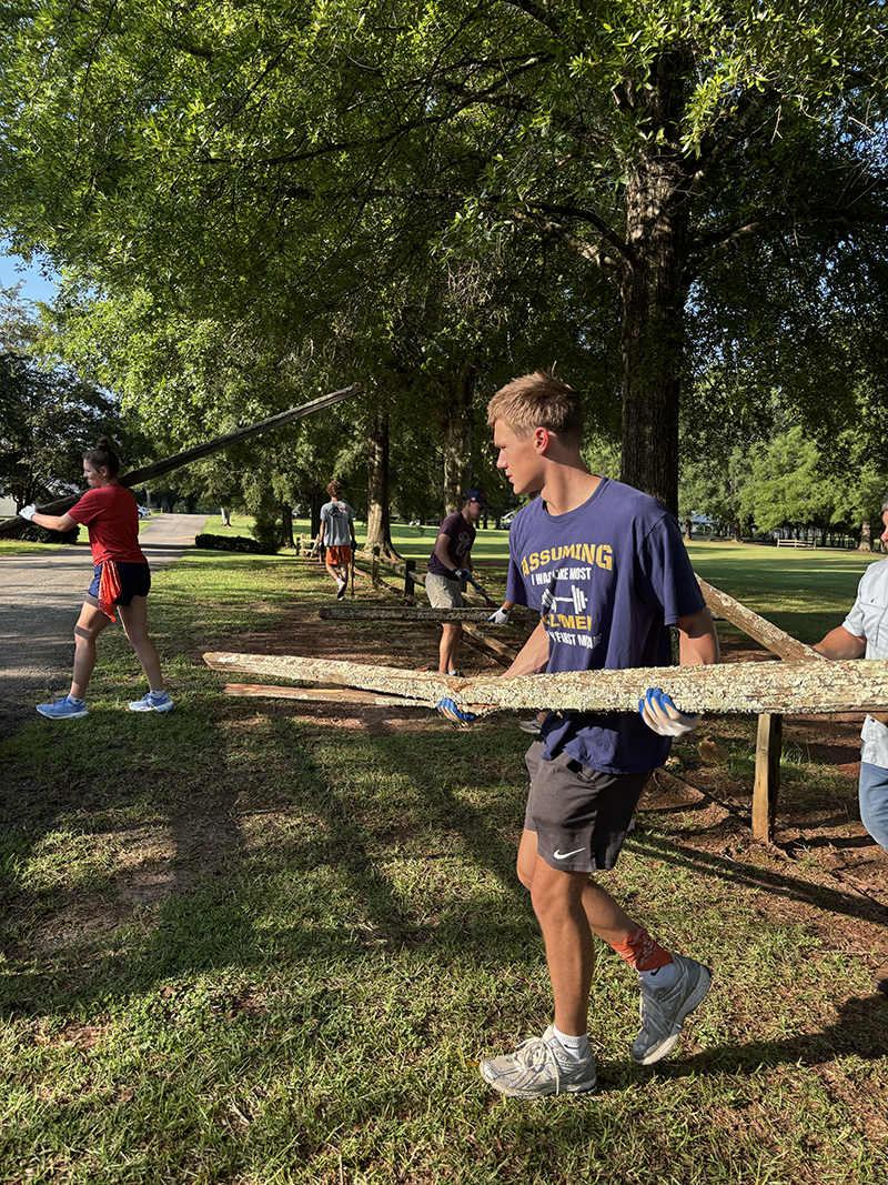 Group of people working outdoors in a park, carrying and installing wooden logs. One person in the foreground wears a navy blue shirt reading 'ASSUMING THIS IS WATER' and black shorts, holding two long logs. Others in the background are assembling a fence or barrier. The sunny weather casts shadows on the green grass beneath large shade trees.