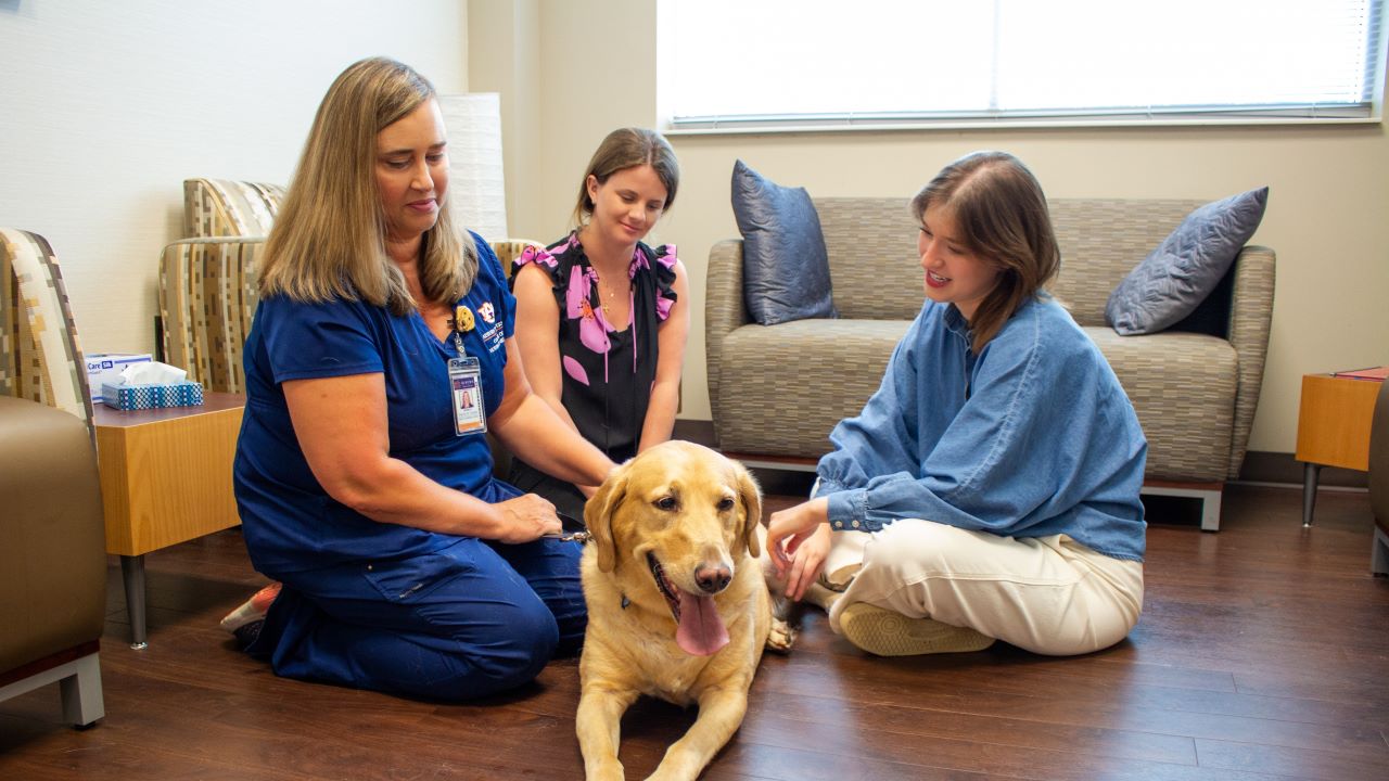 Veterinary social worker meeting with a vet, a client and their dog
