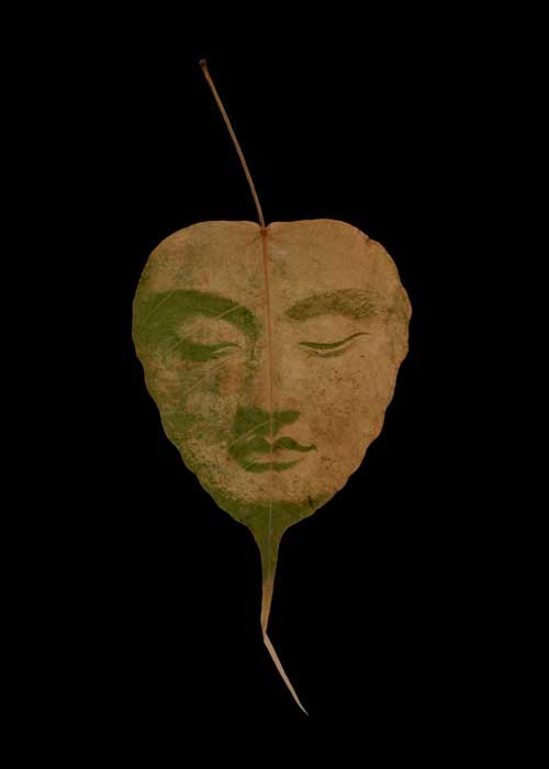 The face of Buddha is sunprinted on a leaf