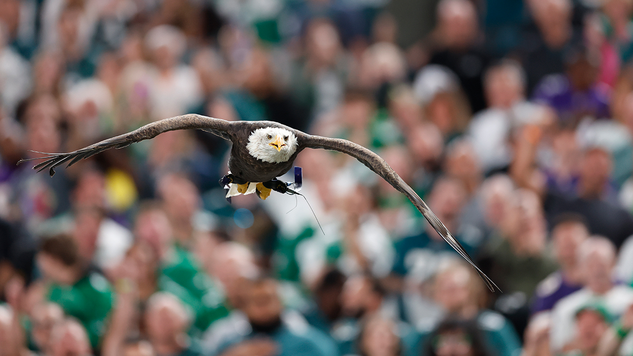 Independence flying at the Eagles
