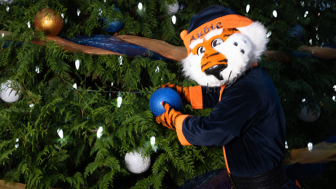 Aubie Claus hangs an ornament on a Christmas tree