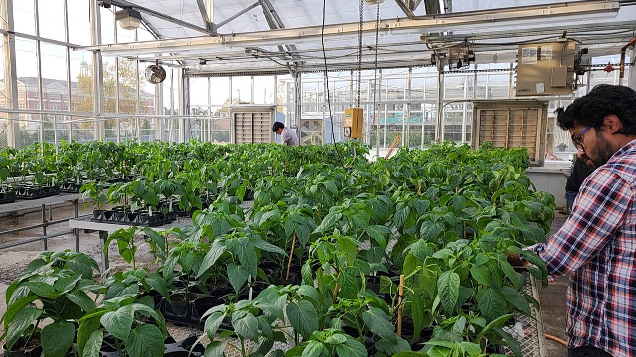 A plant lab is pictured.