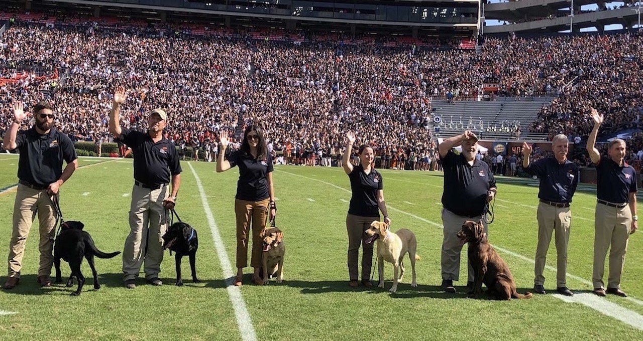 Seven adults on a football field with five leashed dogs