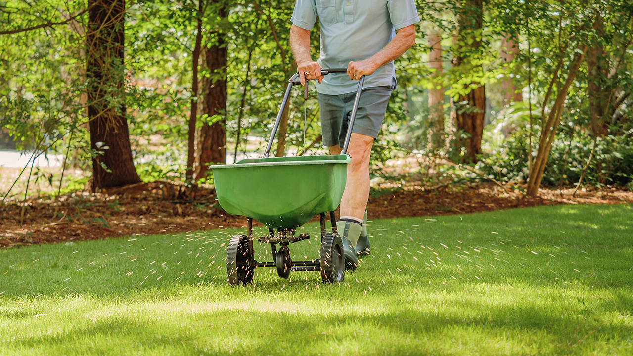 A man, face not shown, rolls a fertilizer spreader across a beautiful green lawn