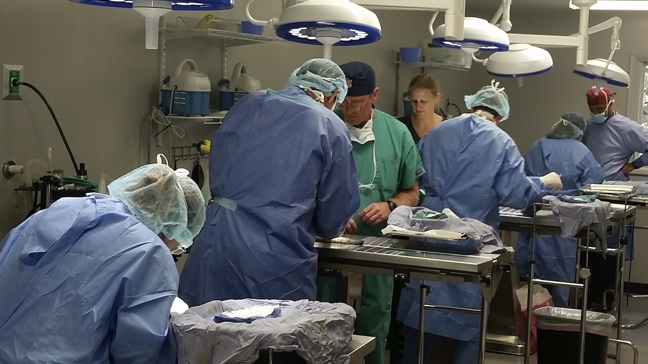 People dressed in scrubs performing surgery
