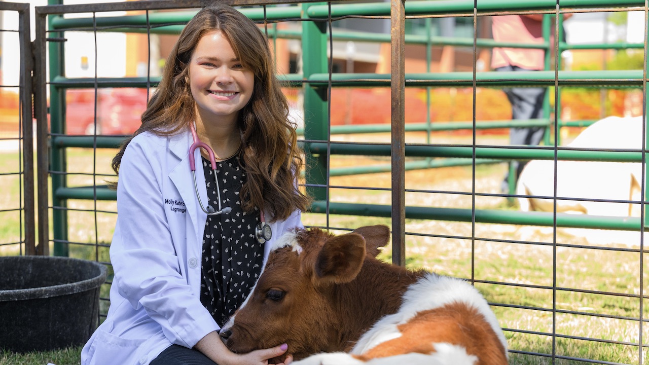 Young lady smiling and petting calf outdoors