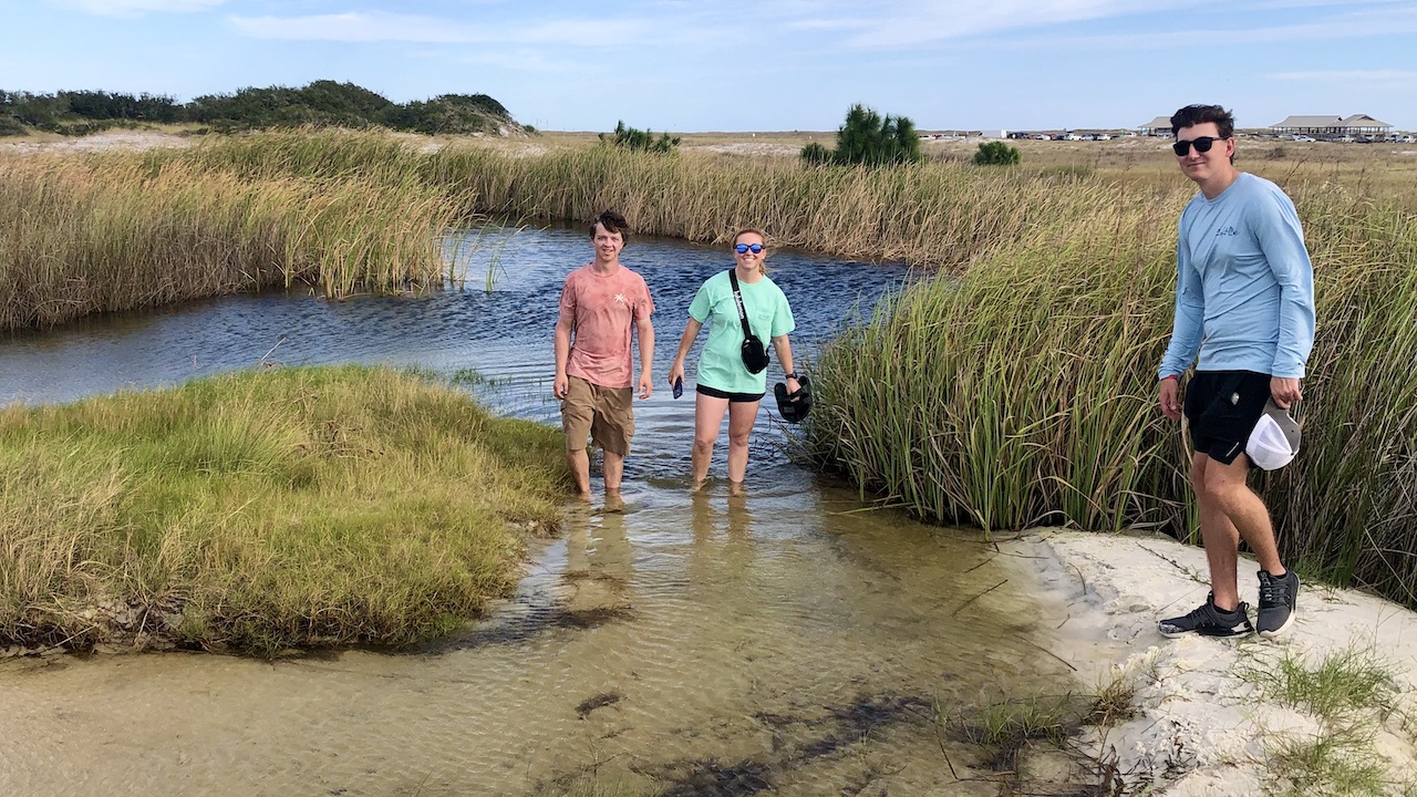 Three people stand in shallow water surrounded by tall grasses
