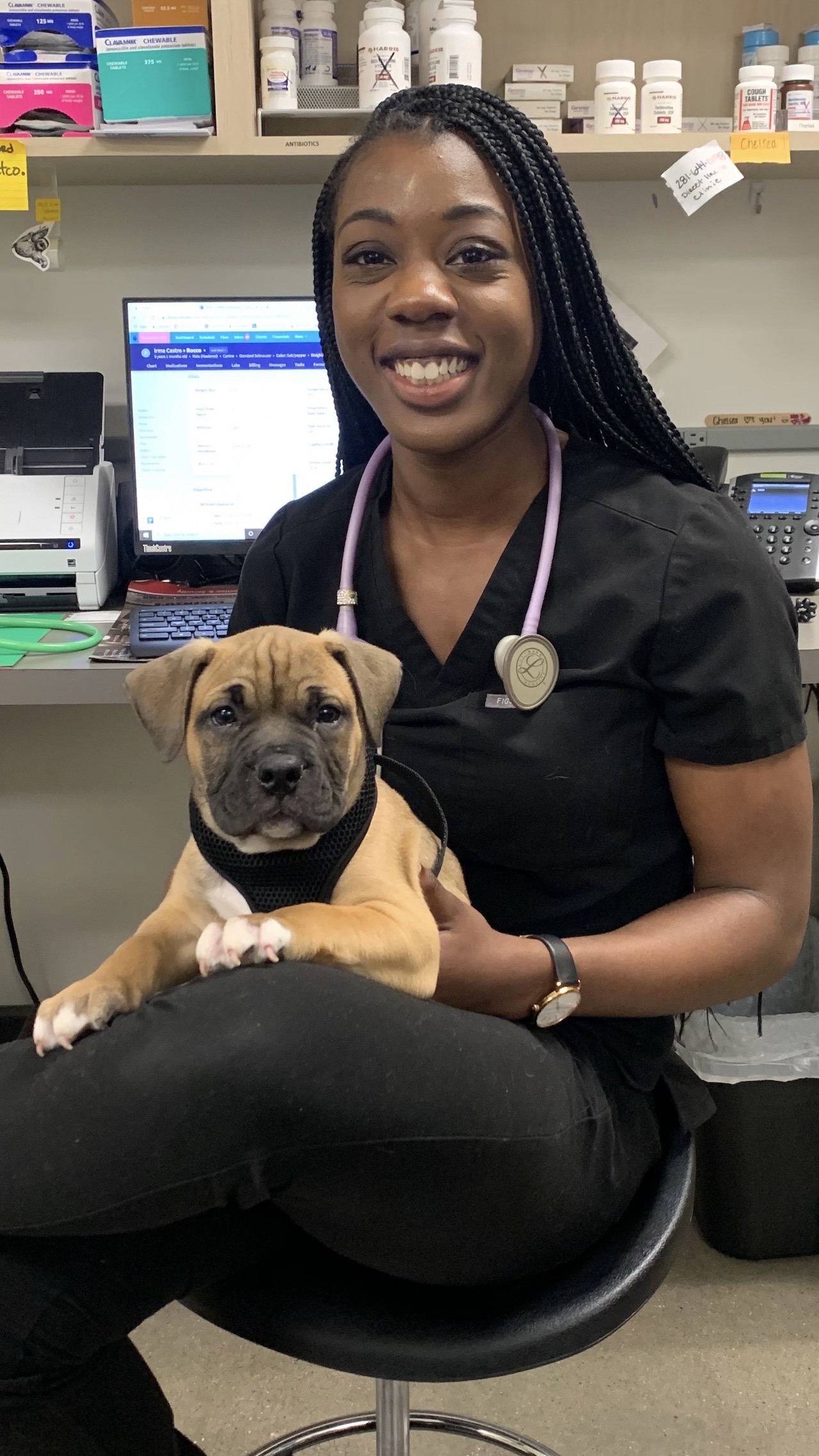 Veterinarian smiling and holding puppy in doctor's office