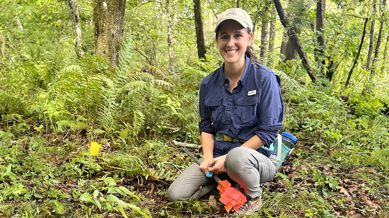 A woman kneels down in the forest