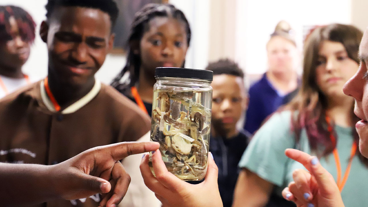 Students look at a jar of frogs