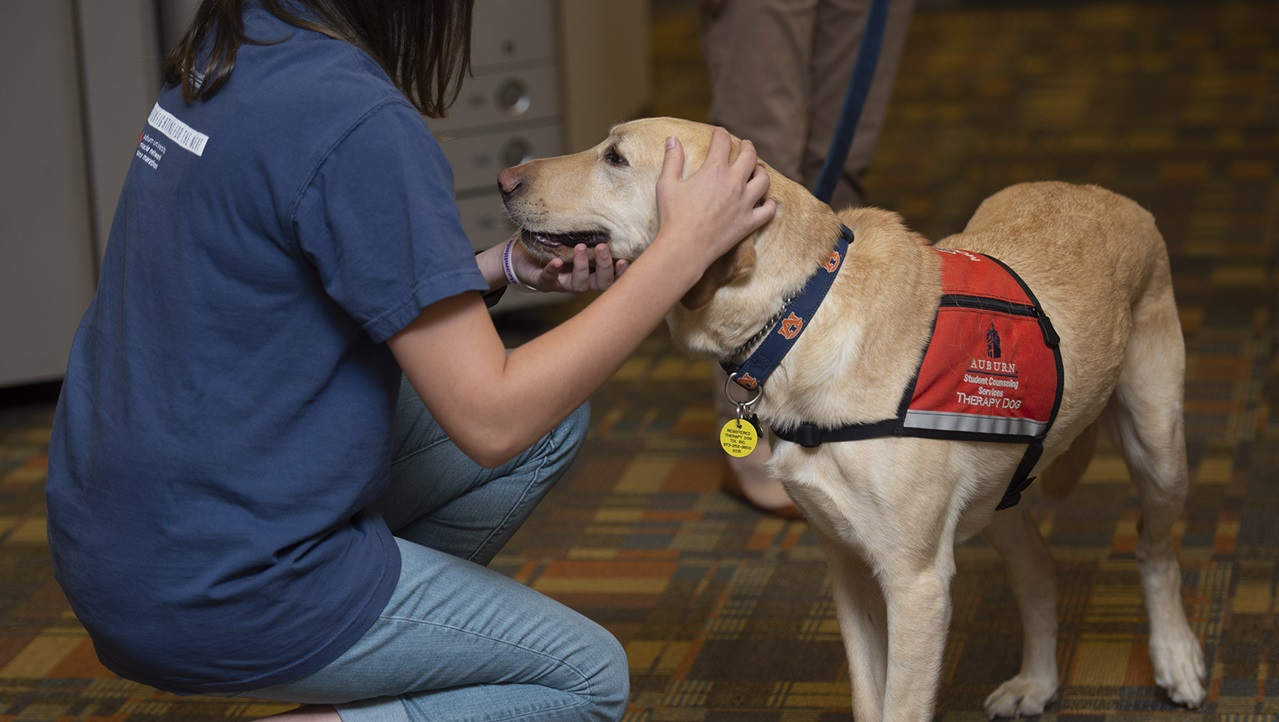 Student petting therapy dog 