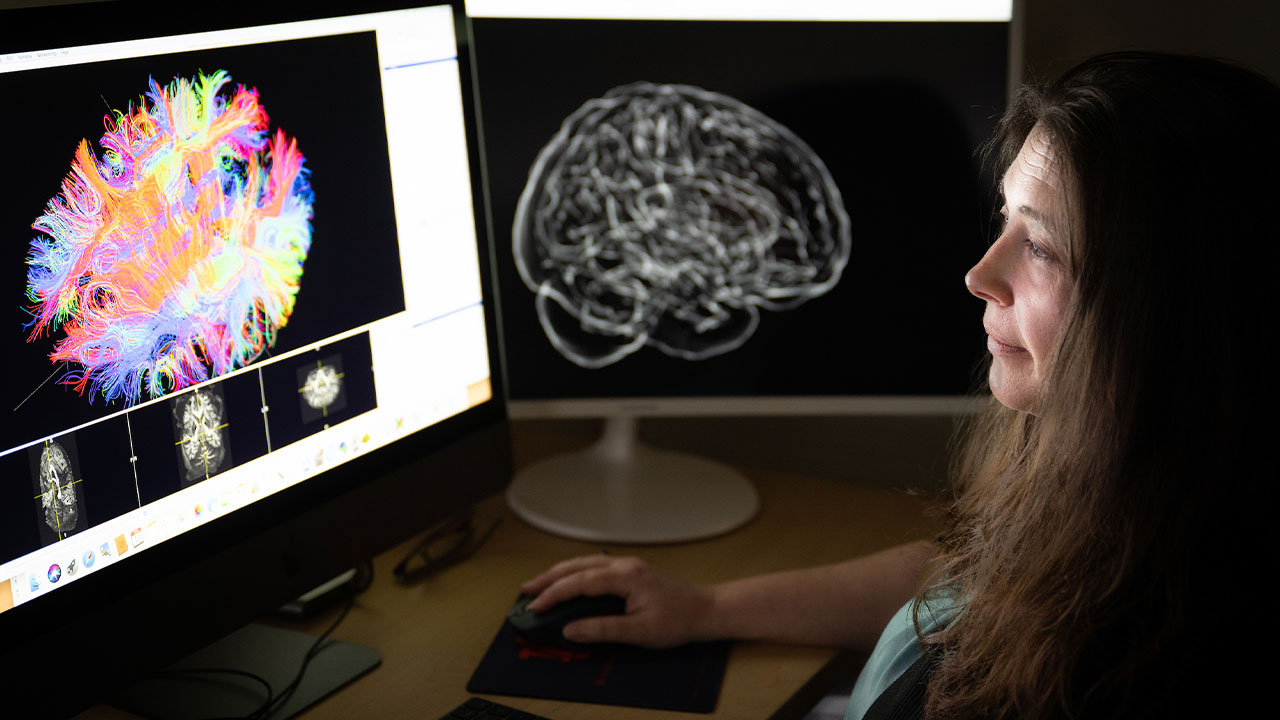 student looks at computer images of a brain scan