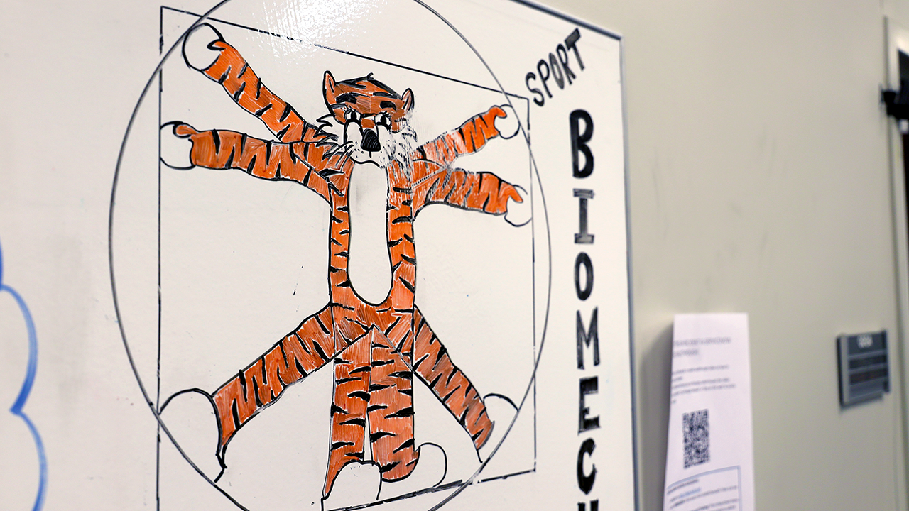 A drawing of Aubie with multiple limbs.