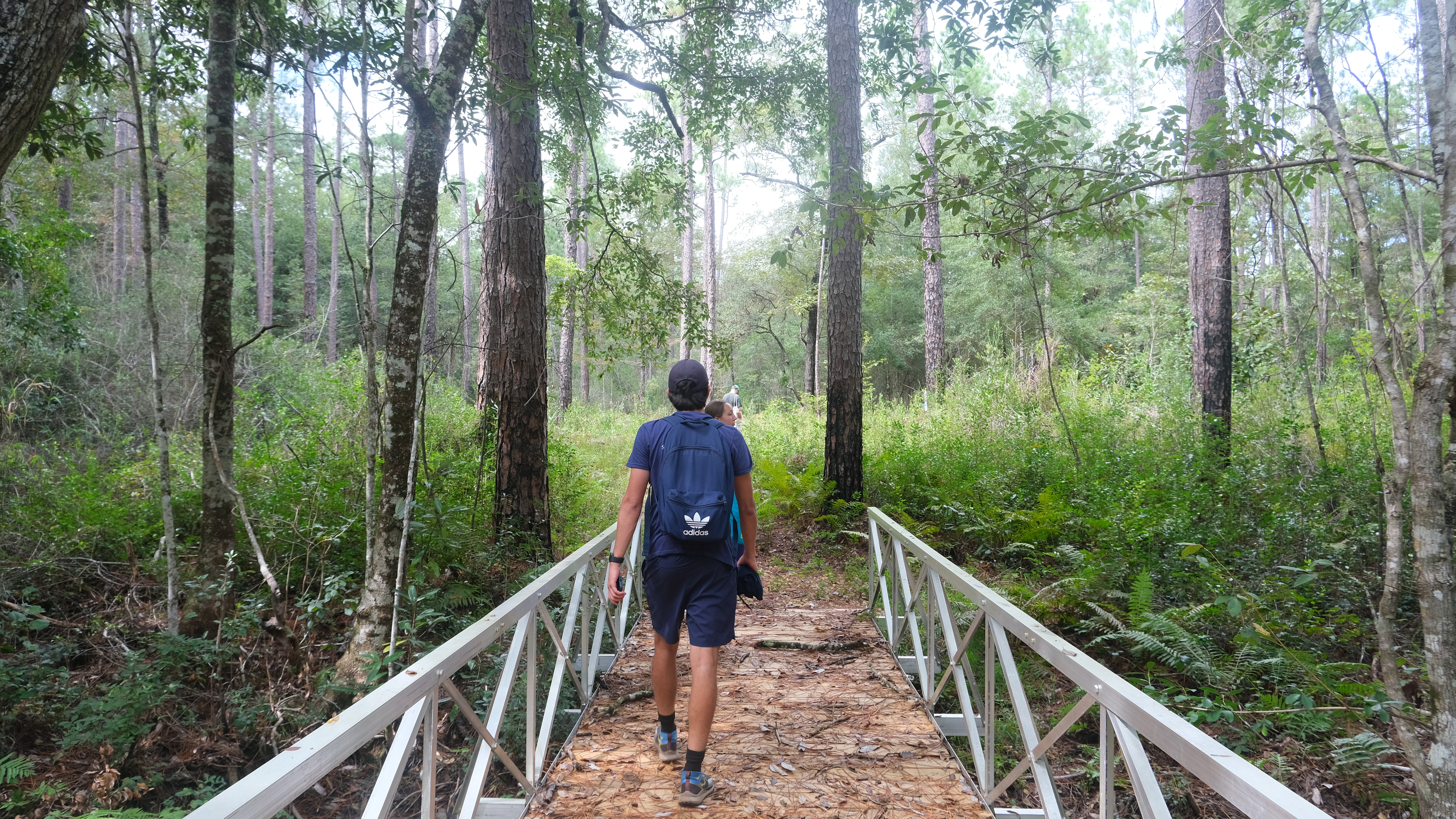 A man walks through the forest