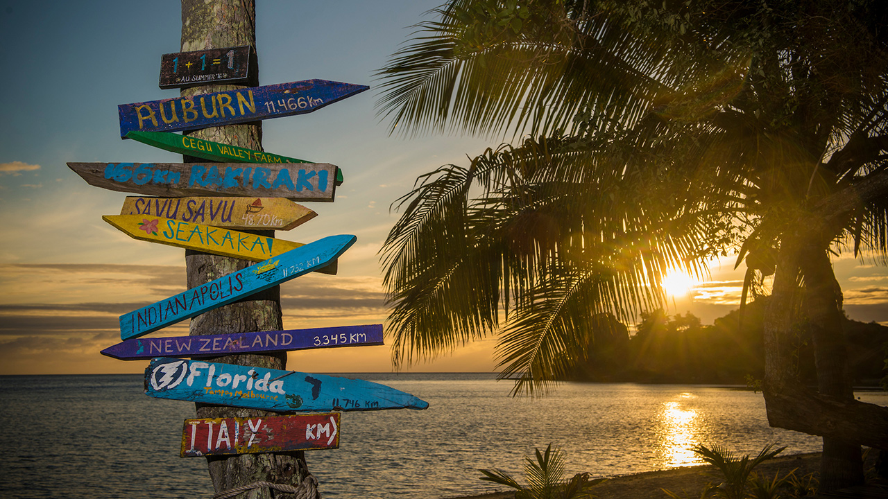 Signs showing distances to cities nailed to a palm tree at the beach