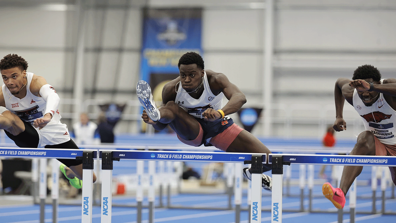 Track athletes jumping over hurdles.