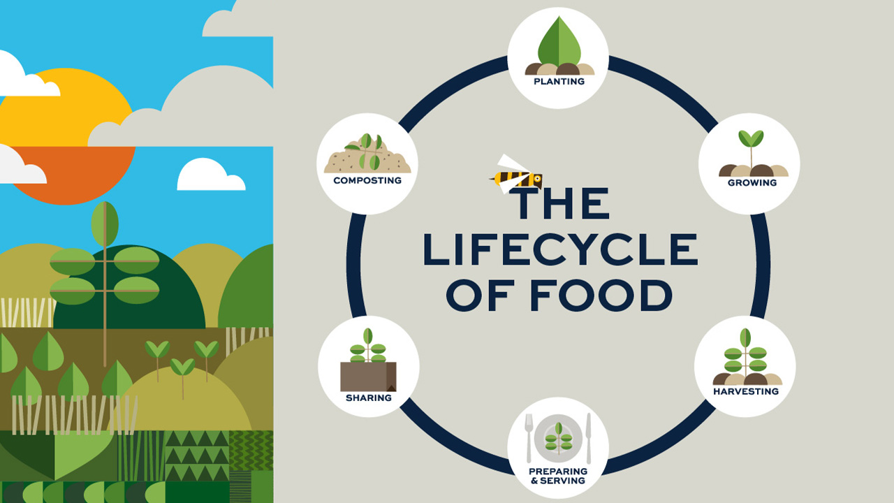 a graphic shows a bumble bee buzzing by the life cycle of food which shows plants growing, being prepared and composting 
