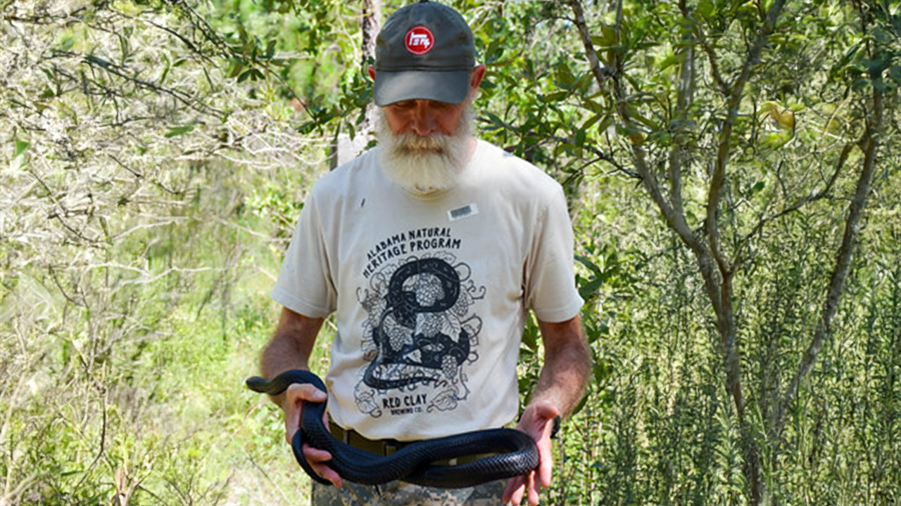 A man holding a snake