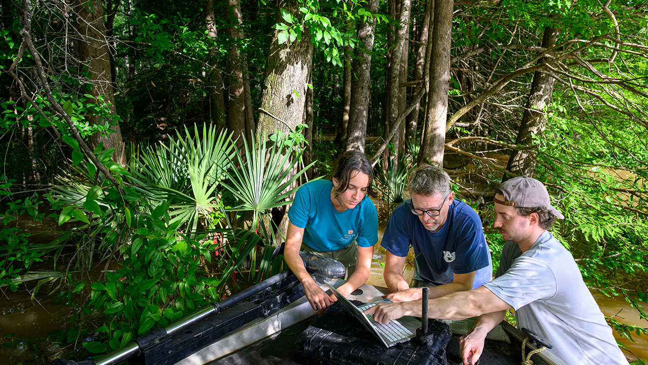 L to R: Brianna Travis, Chris Anderson, and Andrew Balder conduct field work in a tree-lined marsh.