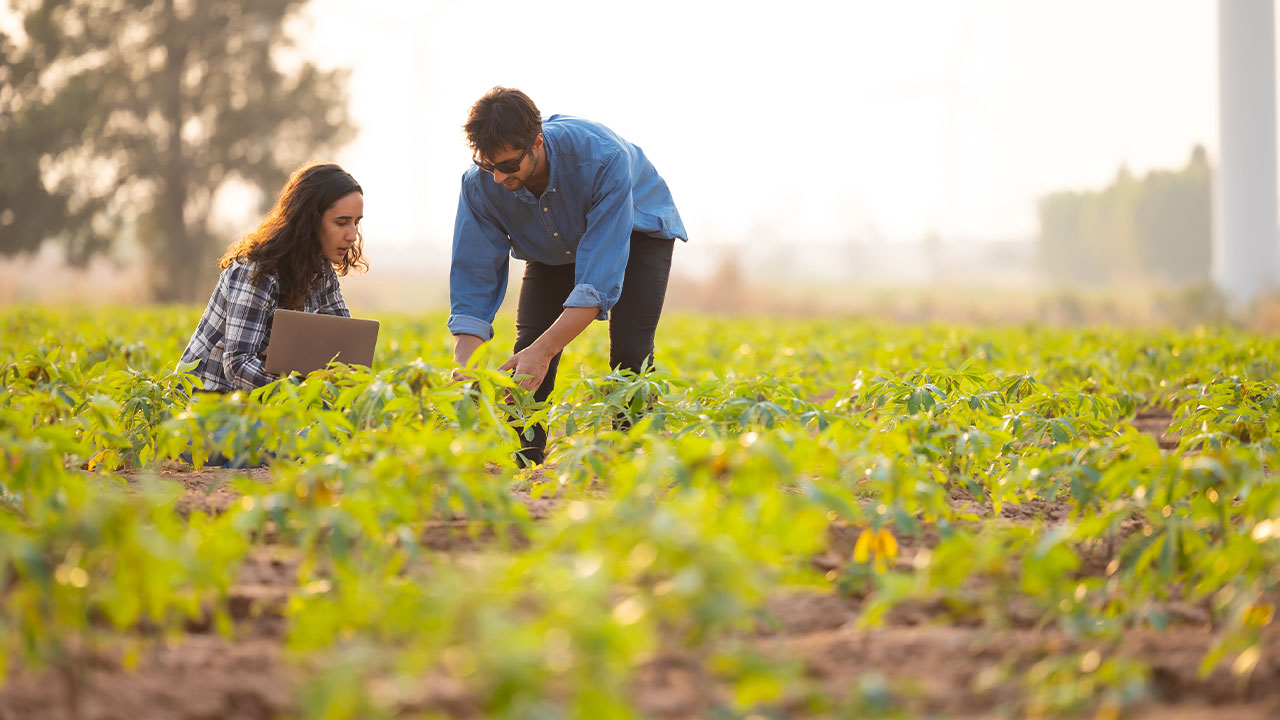 a woman is croutched down in a field, while a man bends over, next to her