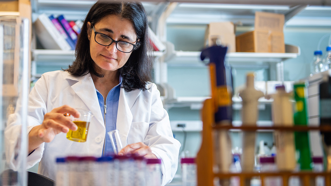 Faculty member pours olive oil in cylinder