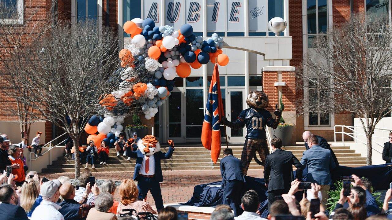 A figure of Aubie is unveiled on the Auburn University campus